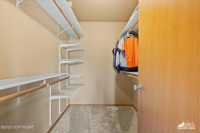 241 N Pasture Pl, Palmer, AK 99645 - spacious closet featuring carpet flooring