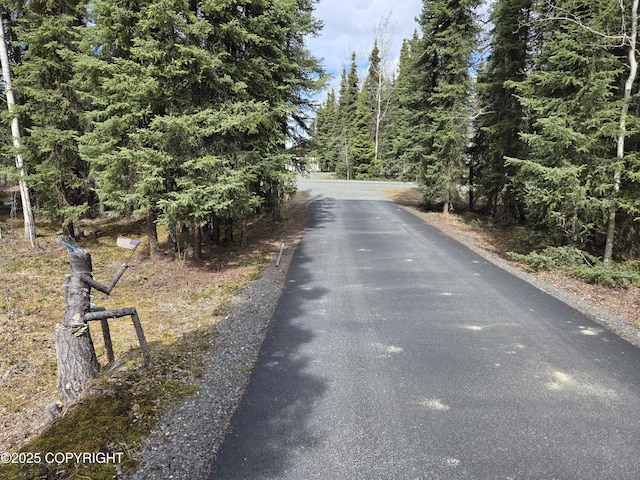 35515 King Salmon Ave, Soldotna, AK 99669 - view of asphalt street with a forest view