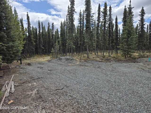 35515 King Salmon Ave, Soldotna, AK 99669 - view of wooded area