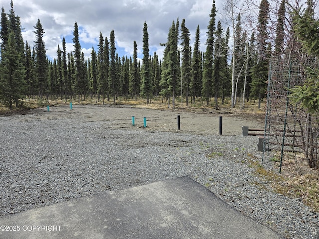 35515 King Salmon Ave, Soldotna, AK 99669 - view of yard with a wooded view