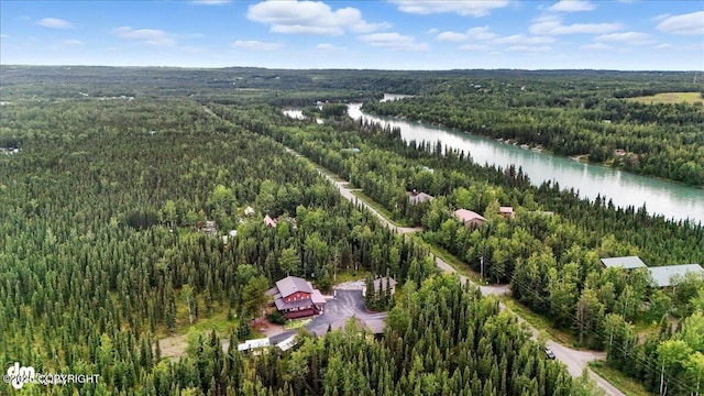 35515 King Salmon Ave, Soldotna, AK 99669 - photo 3