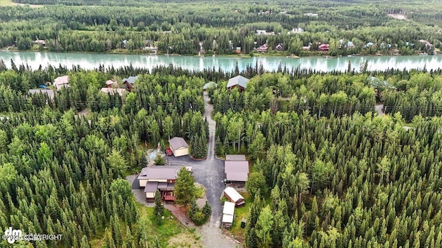 35515 King Salmon Ave, Soldotna, AK 99669 - photo 6