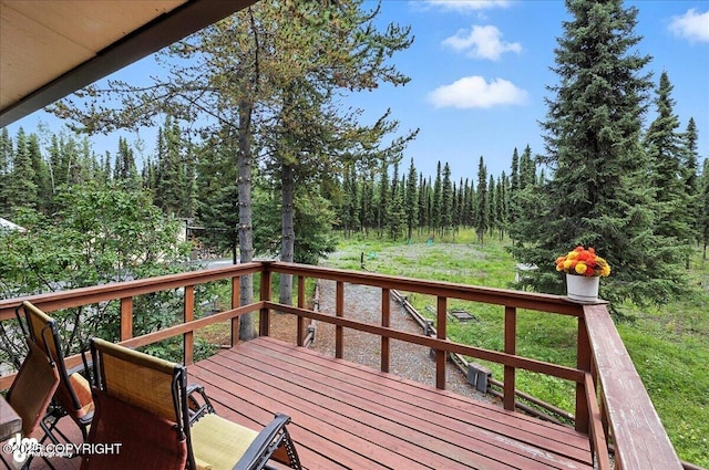 35515 King Salmon Ave, Soldotna, AK 99669 - photo 24