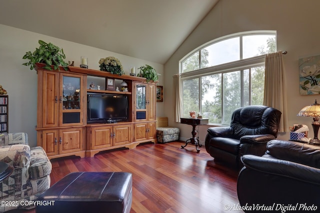 10885 Splendor Loop, Eagle River, AK 99577 - living room featuring wood finished floors and high vaulted ceiling
