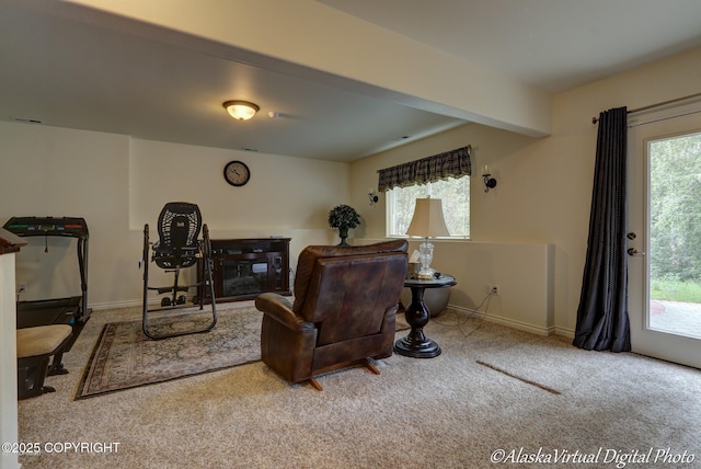 10885 Splendor Loop, Eagle River, AK 99577 - carpeted living area with baseboards