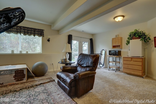 10885 Splendor Loop, Eagle River, AK 99577 - living area featuring light colored carpet, baseboards, and beamed ceiling