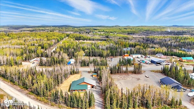 37638 Dutch Landing Loop, Sterling, AK 99672 - bird's eye view of a forest