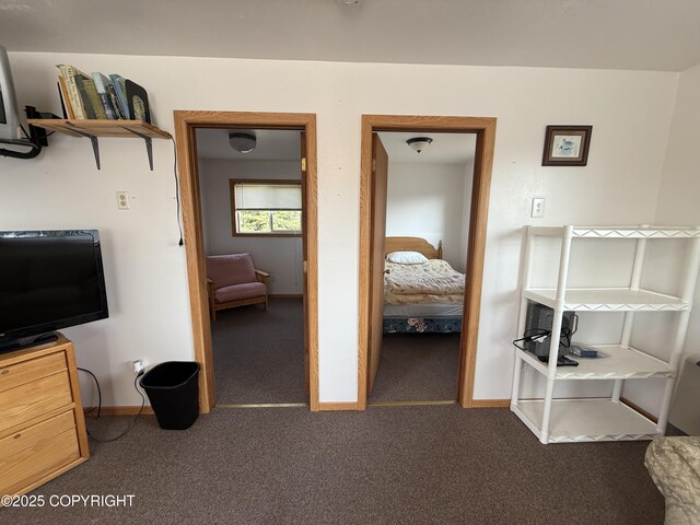 69290 Emily Ct, Ninilchik, AK 99556 - bedroom with carpet and baseboards