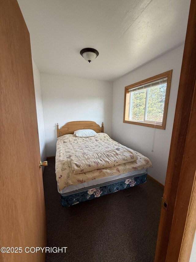 69290 Emily Ct, Ninilchik, AK 99556 - view of carpeted bedroom
