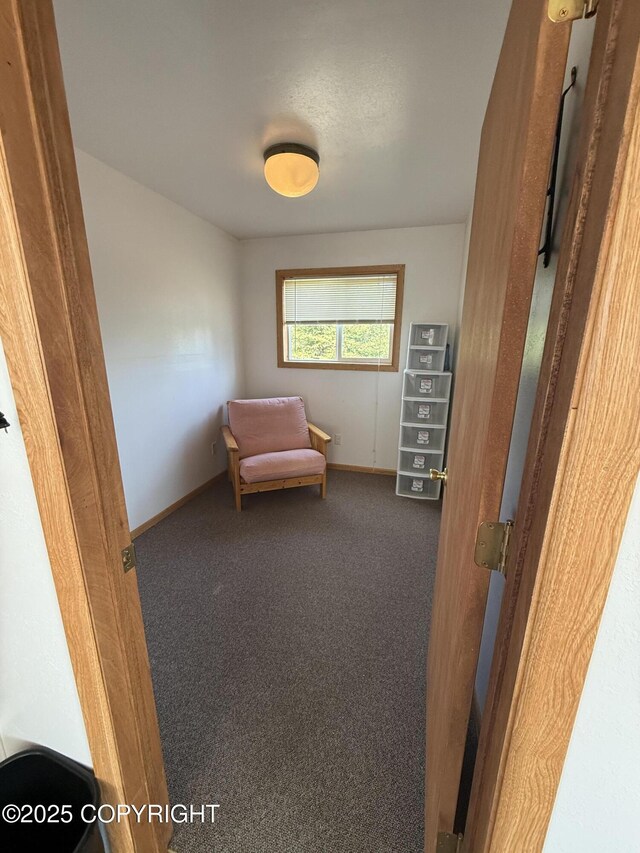 69290 Emily Ct, Ninilchik, AK 99556 - sitting room featuring carpet and baseboards