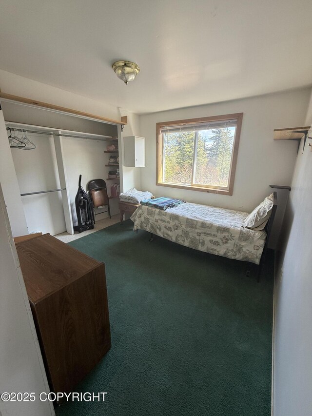 69290 Emily Ct, Ninilchik, AK 99556 - view of carpeted bedroom