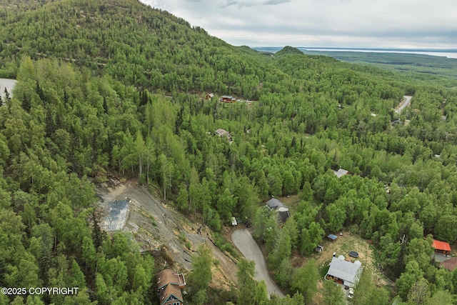 18734 Diana Cir, Chugiak, AK 99567