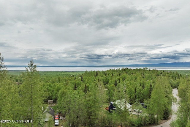 18734 Diana Cir, Chugiak, AK 99567