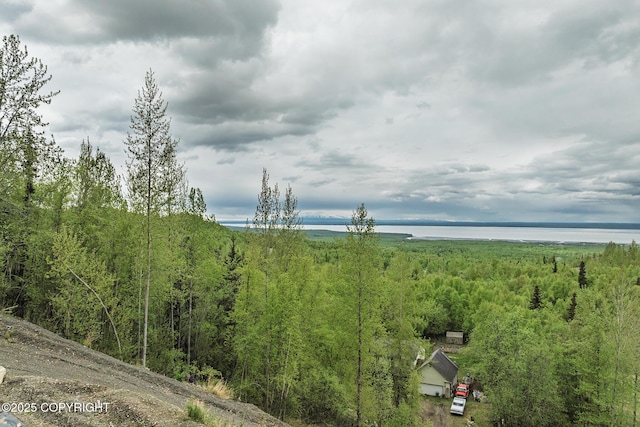 18734 Diana Cir, Chugiak, AK 99567