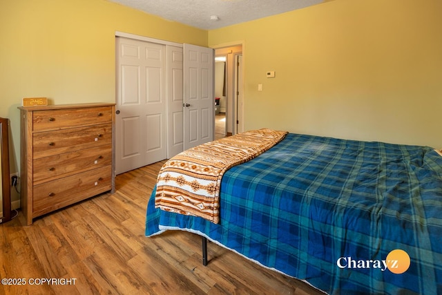 1147 Choctaw Rd, North Pole, AK 99705 - bedroom featuring light wood finished floors, a closet, and a textured ceiling