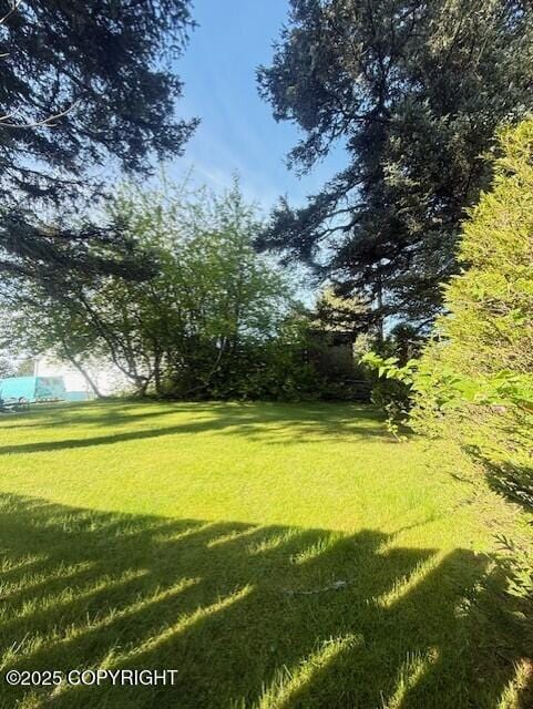 1411 Mission Rd, Kodiak, AK 99615 - view of green lawn