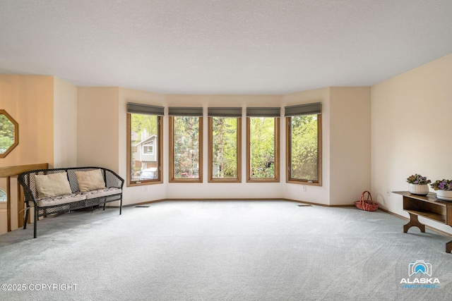18113 Misty Falls Cir, Eagle River, AK 99577 - sitting room featuring carpet floors and baseboards