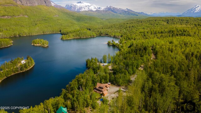 18365 E Twin Hills Ln, Sutton, AK 99645 - bird's eye view of a forest and a water and mountain view