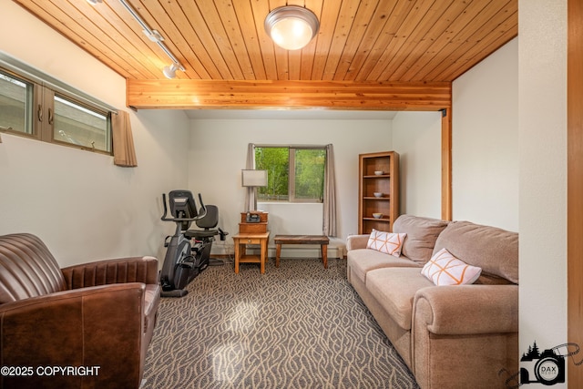 18365 E Twin Hills Ln, Sutton, AK 99645 - living room with carpet flooring and wooden ceiling