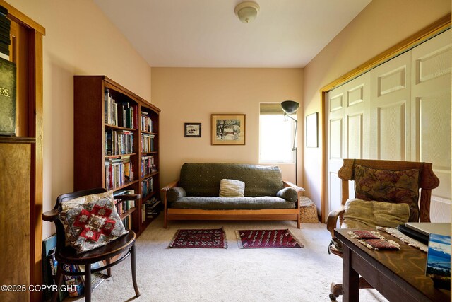 41293 Crested Crane St, Homer, AK 99603 - living area with carpet floors