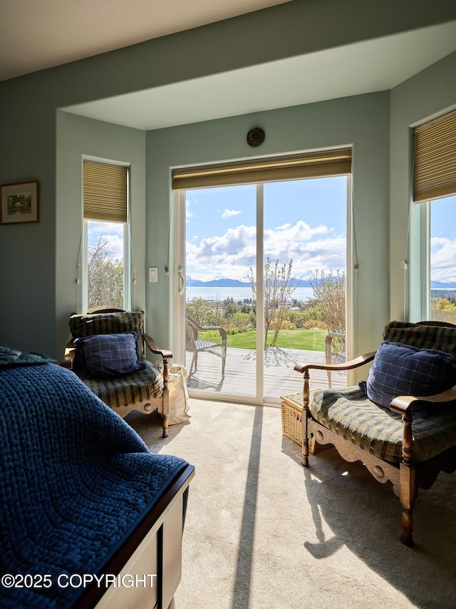41293 Crested Crane St, Homer, AK 99603 - carpeted bedroom featuring access to outside