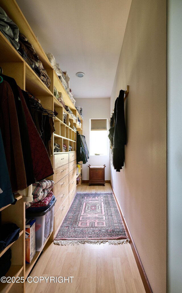 41293 Crested Crane St, Homer, AK 99603 - mudroom featuring light wood finished floors