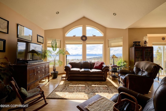 41293 Crested Crane St, Homer, AK 99603 - living area featuring wood finished floors and lofted ceiling