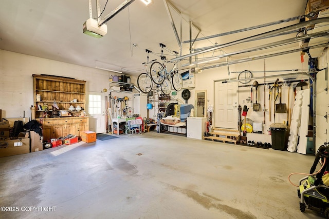 41293 Crested Crane St, Homer, AK 99603 - garage featuring a garage door opener and a workshop area