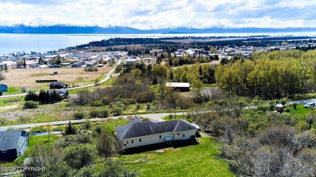 41293 Crested Crane St, Homer, AK 99603 - bird's eye view of a large body of water