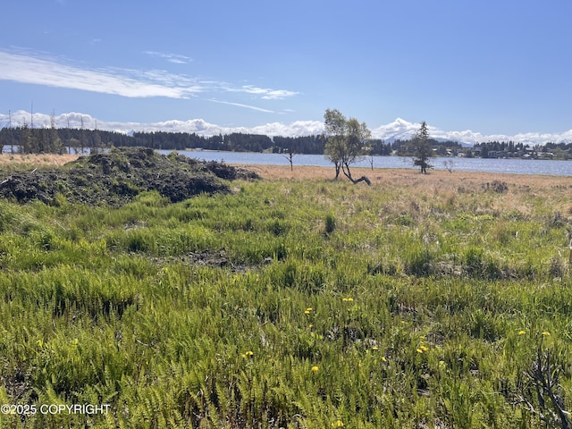 L44 Dahl Way, Homer, AK 99603