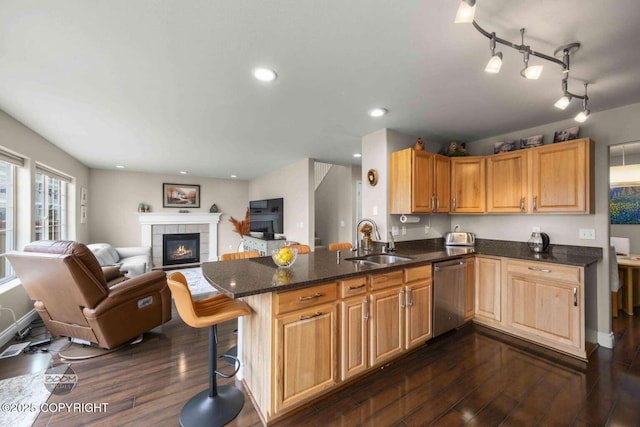 2823 Discovery Bay Dr, Anchorage, AK 99515 - kitchen with a sink, stainless steel dishwasher, open floor plan, dark wood-style floors, and a tiled fireplace