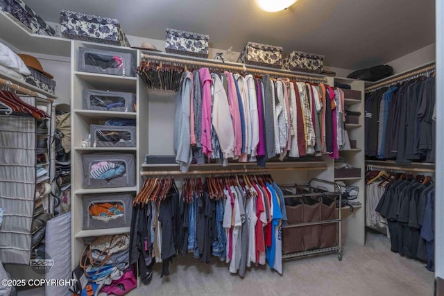 2823 Discovery Bay Dr, Anchorage, AK 99515 - spacious closet featuring carpet floors