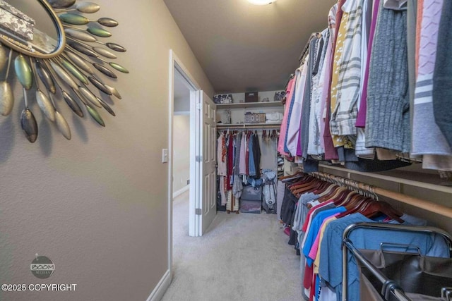 2823 Discovery Bay Dr, Anchorage, AK 99515 - walk in closet with carpet floors