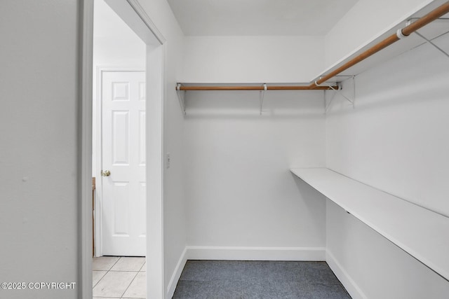 1151 W Gail Dr, Wasilla, AK 99654 - walk in closet featuring light carpet