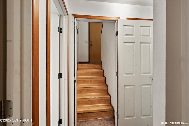 1031 E Dunedin St, Wasilla, AK 99654 - view of stairway
