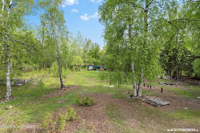 1031 E Dunedin St, Wasilla, AK 99654 - view of yard