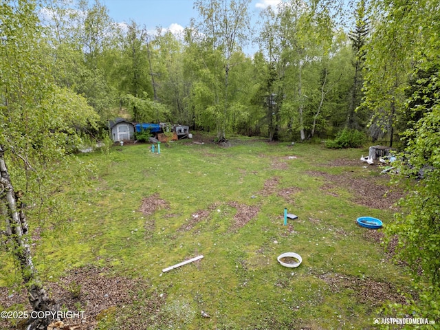 1031 E Dunedin St, Wasilla, AK 99654 - view of yard