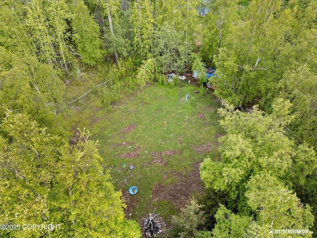 1031 E Dunedin St, Wasilla, AK 99654 - drone / aerial view