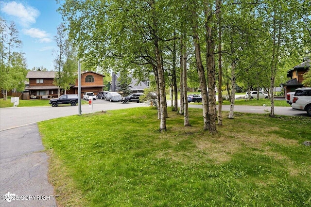 2921 Rocky Bay Cir, Anchorage, AK 99515 - view of grassy yard