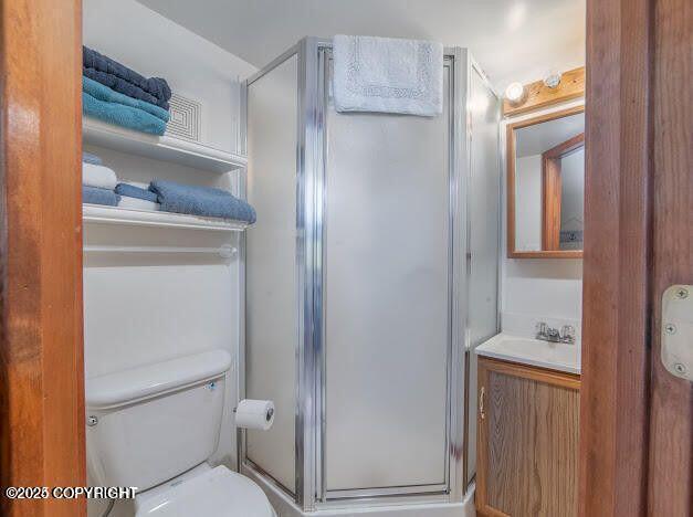 37397 Cetacea Ln, Kenai, AK 99611 - bathroom with a stall shower, vanity, and toilet
