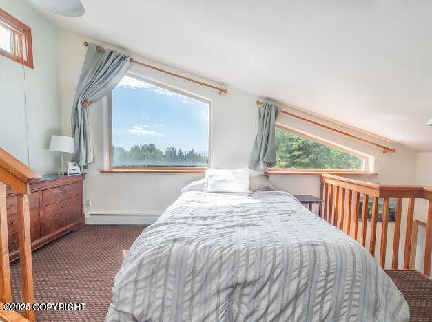37397 Cetacea Ln, Kenai, AK 99611 - bedroom featuring a baseboard radiator, carpet flooring, and baseboards