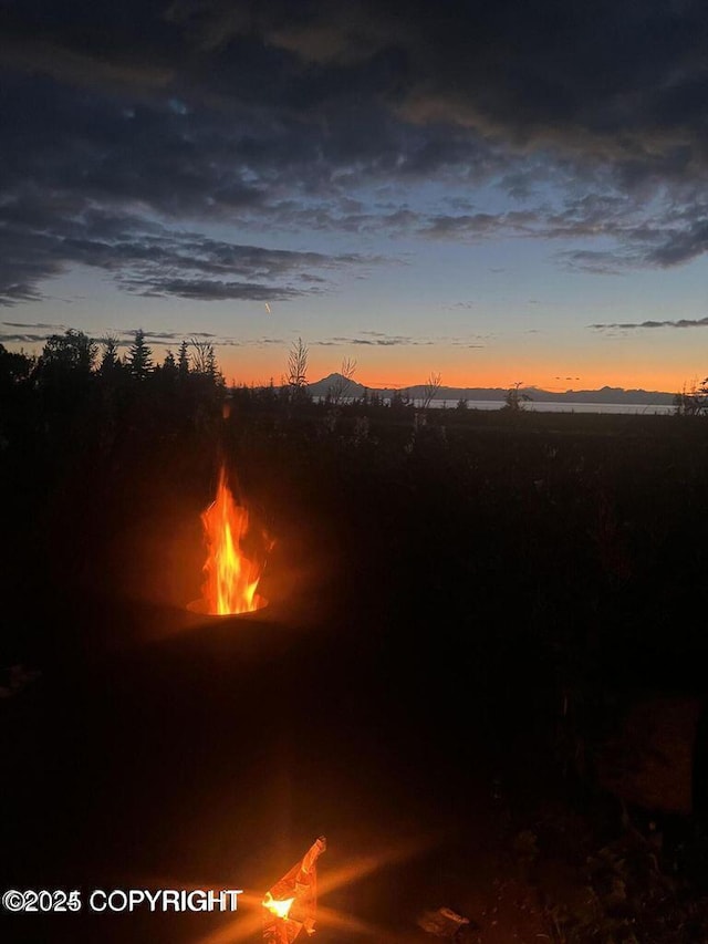 37397 Cetacea Ln, Kenai, AK 99611 - view of nature