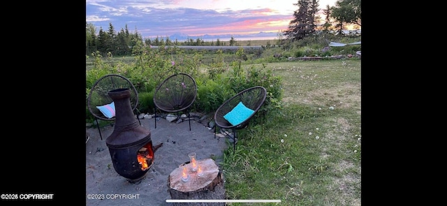 37397 Cetacea Ln, Kenai, AK 99611 - view of yard