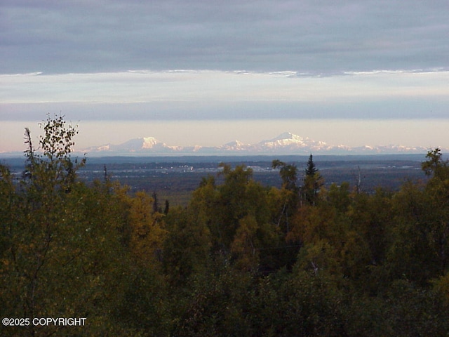 9300 Buddy Werner Dr, Anchorage, AK 99507 - view of mountain background
