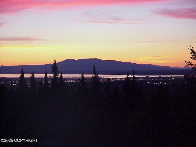 9300 Buddy Werner Dr, Anchorage, AK 99507 - water view featuring mountains