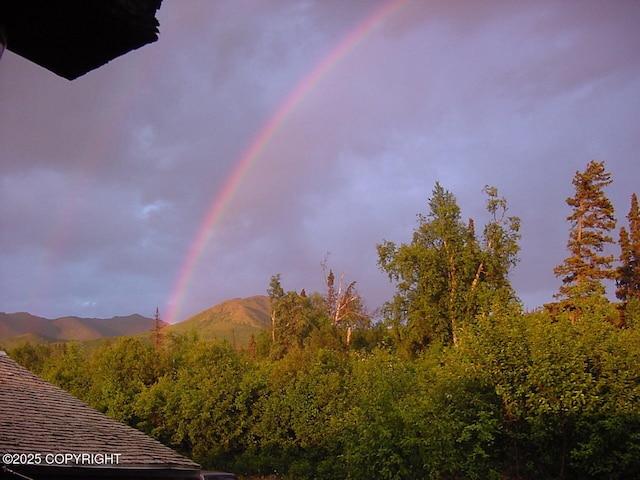 9300 Buddy Werner Dr, Anchorage, AK 99507 - view of mountain backdrop