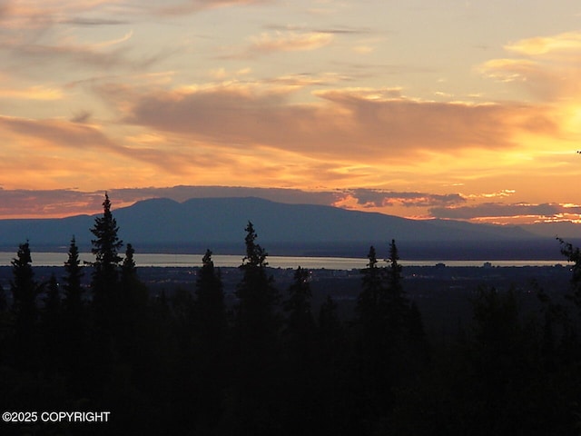 9300 Buddy Werner Dr, Anchorage, AK 99507 - mountain view featuring a nearby body of water