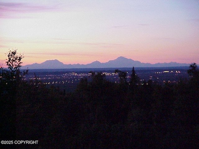 9300 Buddy Werner Dr, Anchorage, AK 99507 - mountain view