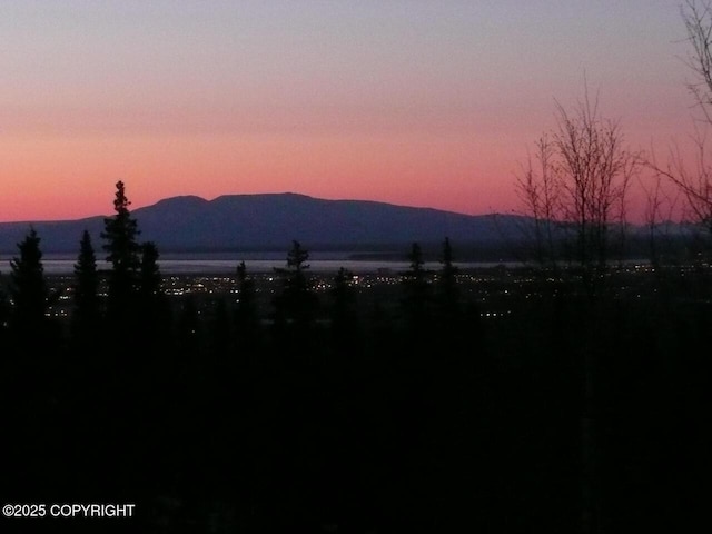 9300 Buddy Werner Dr, Anchorage, AK 99507 - mountain view