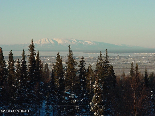 9300 Buddy Werner Dr, Anchorage, AK 99507 - view of mountain background